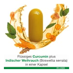 curcumin-Loges plus Boswellia Produktbild 8