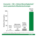 curcumin-Loges plus Boswellia Produktbild 10