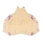 Mepilex Border Sacrum Schaumverband 16x20 cm steril B2B Medical