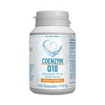 Coenzym Q10 100 mg Ubichinon Mono-Kapseln Produktbild 1