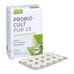 Syxyl ProBio-Cult Pur 15 Produktbild 3