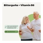 Bittergurke Kapseln 500mg 10:1 Extrakt