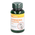 Gymnema Sylvestre 400 mg Produktbild 1
