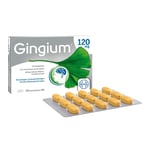 Gingium 120 mg