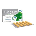 Gingium 120 mg