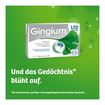 Gingium 120 mg Hexal