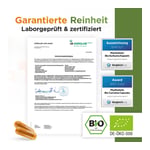 Acurmin Phytholistic Bio-Curcuma-Extrakt Produktbild 8