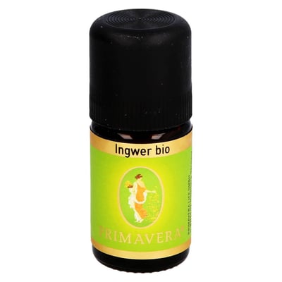 Ingwer Bio