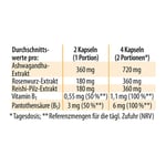 Dr. Jacob's nervenstark mit Rhodiola Ashwaganda Reishi-Pilz Produktbild 7