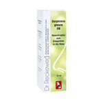 Galphimia glauca D6 Produktbild 3