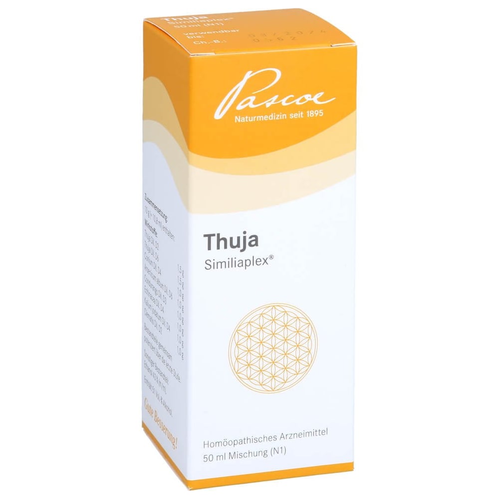 Thuja Similiaplex
