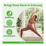 Darmhit Dr Jacobs Produktbild 3