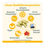 Dr. Jacob's Quercetin-Phospholipid Papain Bromelain Zink Produktbild 4