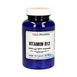 Vitamin B12 1000 mcg Gph