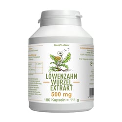 Loewenzahnwurzel Ext500 Mo