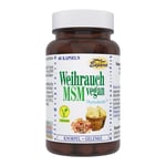 Weihrauch Msm Vegan Produktbild 1