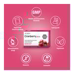 Dr. Böhm Cranberry plus