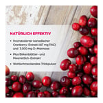 Dr. Böhm Cranberry plus