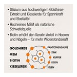 Dr. Böhm Haut Haare Nägel