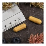 Multi Komplex American Biologics