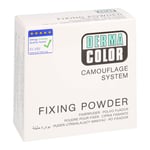 Dermacolor Camouflage Fixierpuder large 60 g P11