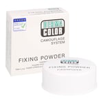Dermacolor Camouflage Fixierpuder large 60 g P11