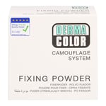 Dermacolor Camouflage Fixierpuder large 60 g P11