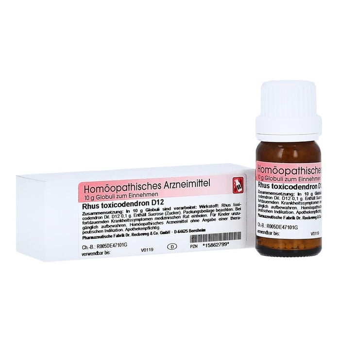 Rhus Toxicodendron D12