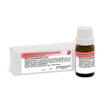 Rhus Toxicodendron D12 Dr. Reckeweg Produktbild 1
