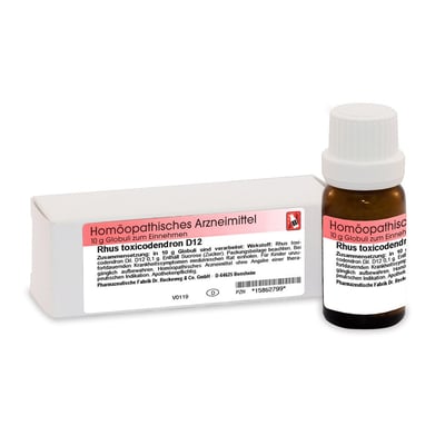 Rhus Toxicodendron D12 Dr. Reckeweg Produktbild 1