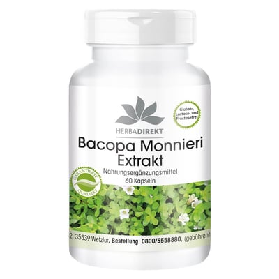 Bacopa Monnieri Extrakt