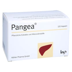 Pangea