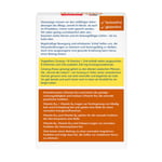 Doppelherz Ginseng 250 + B-Vitamine + Zink