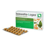 boswellia-Loges Weihrauch-Kapseln Produktbild 4