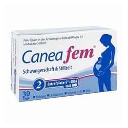 Caneafem 2 Extrafolate-S+DHA+Jod Kapseln