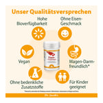 Dr. Jacob's Eisen-Phospholipid Mango Pulver liposomal vegan Produktbild 4