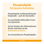 Dr. Jacob's Eisen-Phospholipid Mango Pulver liposomal vegan Produktbild 7