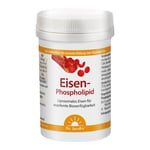 Dr. Jacob's Eisen-Phospholipid Mango Pulver liposomal vegan Produktbild 1