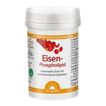 Dr. Jacob's Eisen-Phospholipid Mango Pulver liposomal vegan