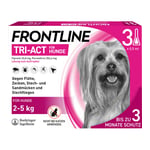 Frontline Tri-Act Hunde 2-5 kg Produktbild 2
