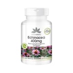 Echinacea 400 mg Produktbild 1