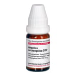 ANGELICA ARCHANGELICA D 12 Globuli Produktbild 4