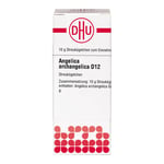 ANGELICA ARCHANGELICA D 12 Globuli Produktbild 1