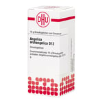 ANGELICA ARCHANGELICA D 12 Globuli Produktbild 3
