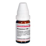 BRYOPHYLLUM C 30 Globuli Produktbild 4