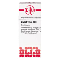 BRYOPHYLLUM C 30 Globuli