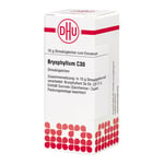BRYOPHYLLUM C 30 Globuli Produktbild 3