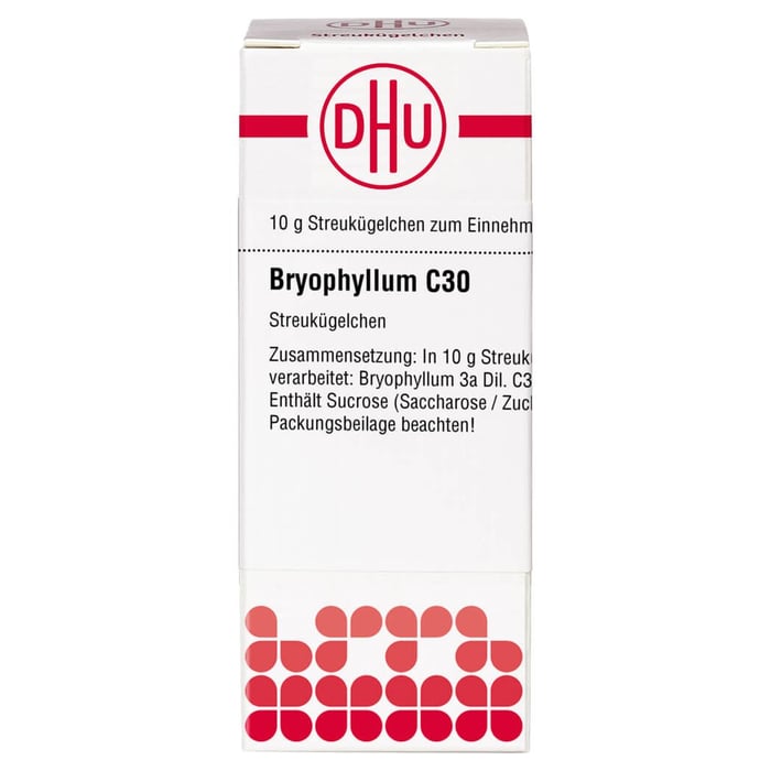 Bryophyllum C30