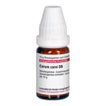 CARUM carvi D 6 Globuli Produktbild 4