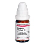 CHIMAPHILA UMBELLATA D 6 Globuli Produktbild 4